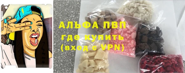 прущие грибы Абаза