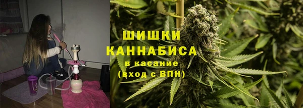 прущие грибы Абаза