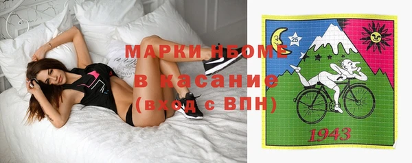 прущие грибы Абаза