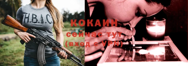 прущие грибы Абаза