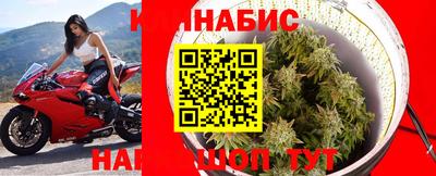 МДПВ Сланцы