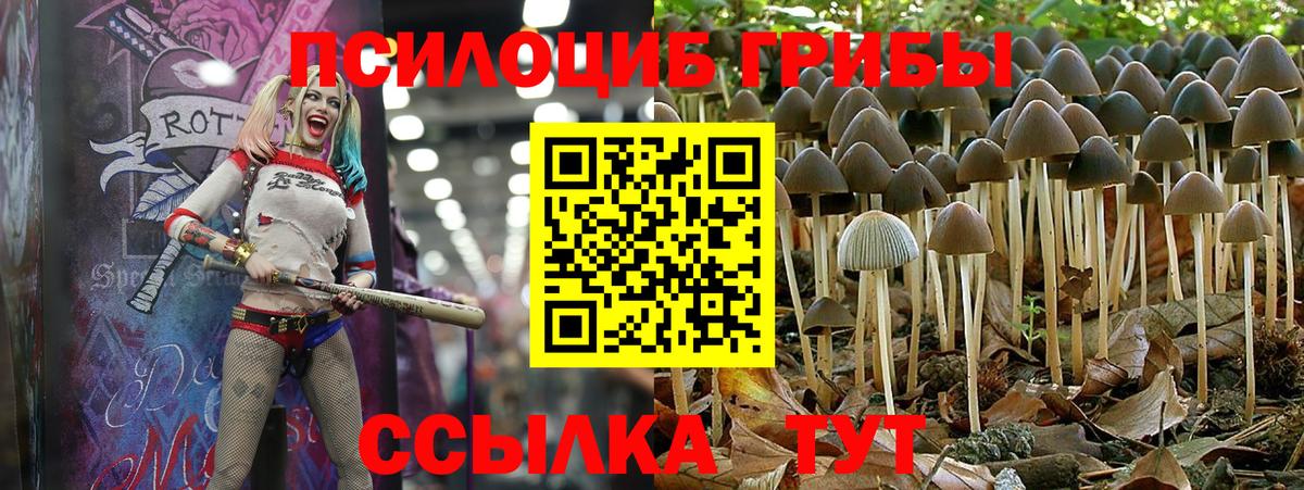 Псилоцибиновые грибы прущие грибы  Вход с VPN  Тутаев  Галлюциногенные грибы ЛСД 