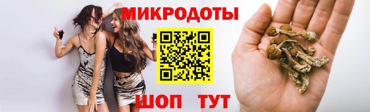 Галлюциногенные грибы Cubensis Тутаев